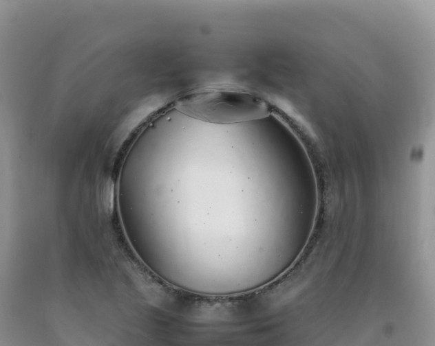 X0000092101221200709191300