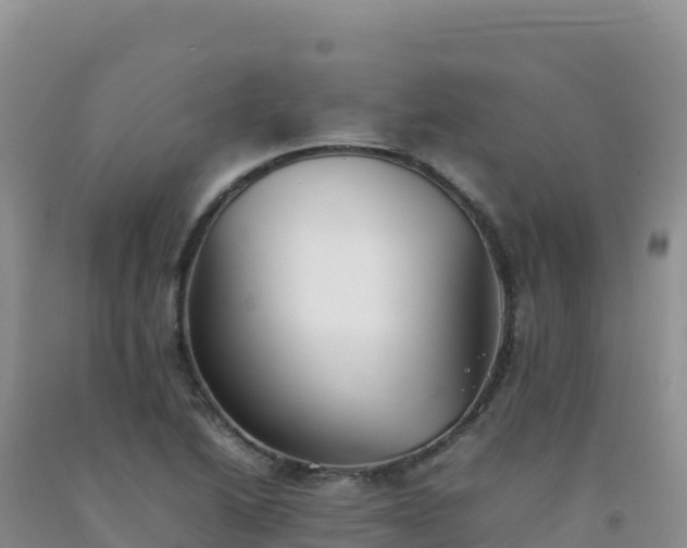 X0000092101222200709191300