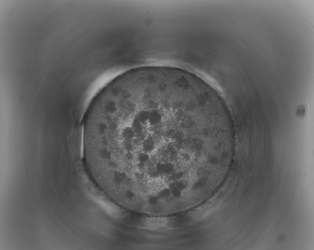 X0000092101223200709191300