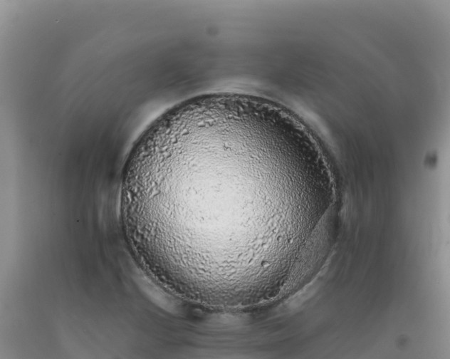 X0000092101224200709191300