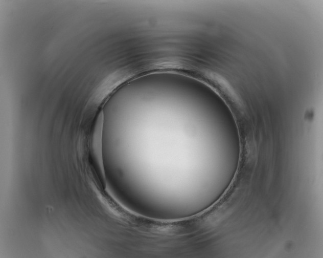 X0000092101225200709191300