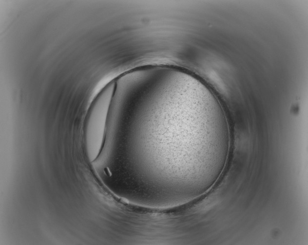 X0000092101226200709191300