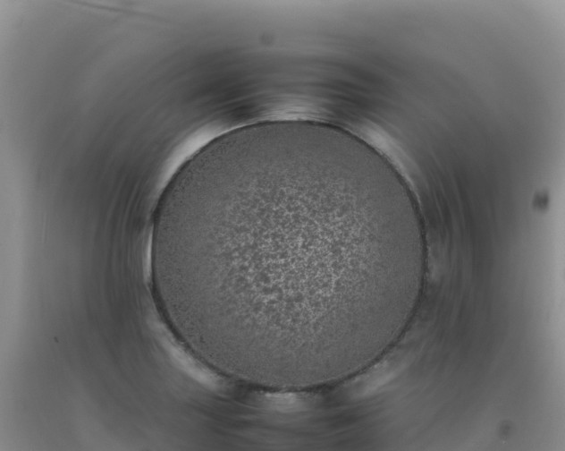 X0000092101227200709191300