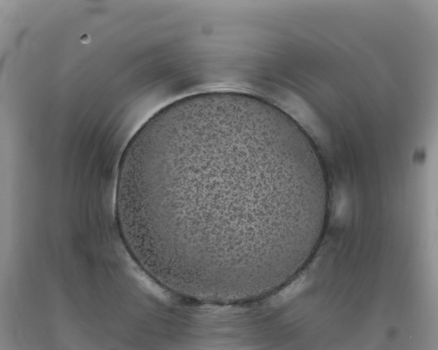 X0000092101228200709191300