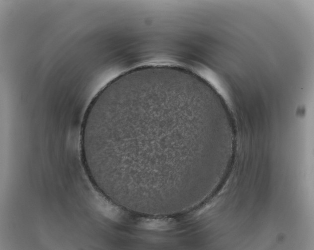 X0000092101229200709191300