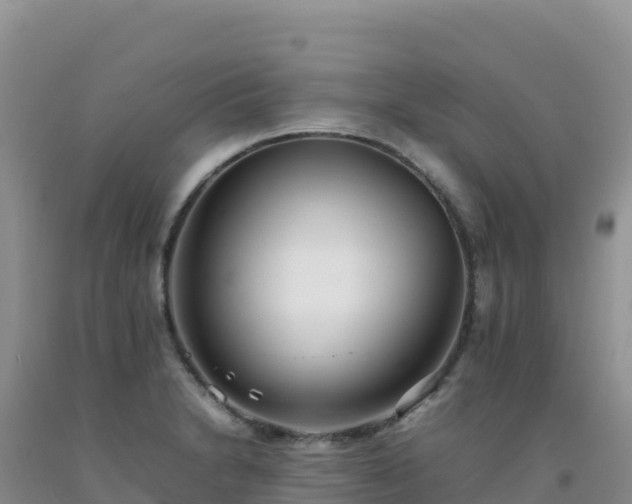 X0000092101230200709191300