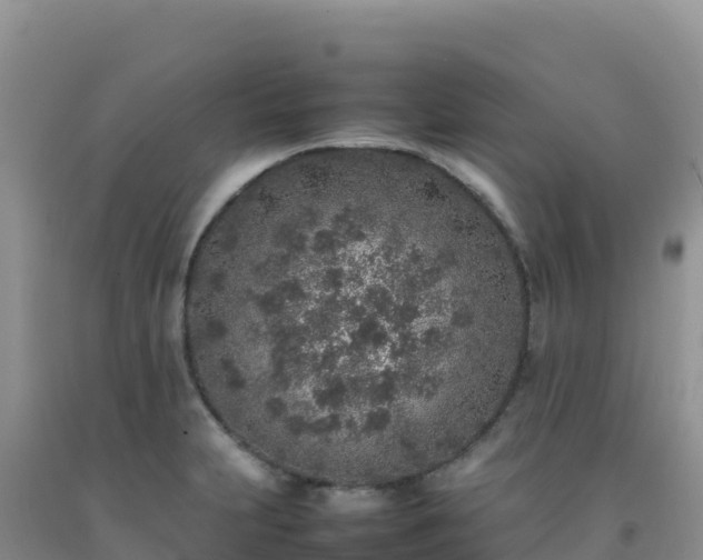 X0000092101231200709191300