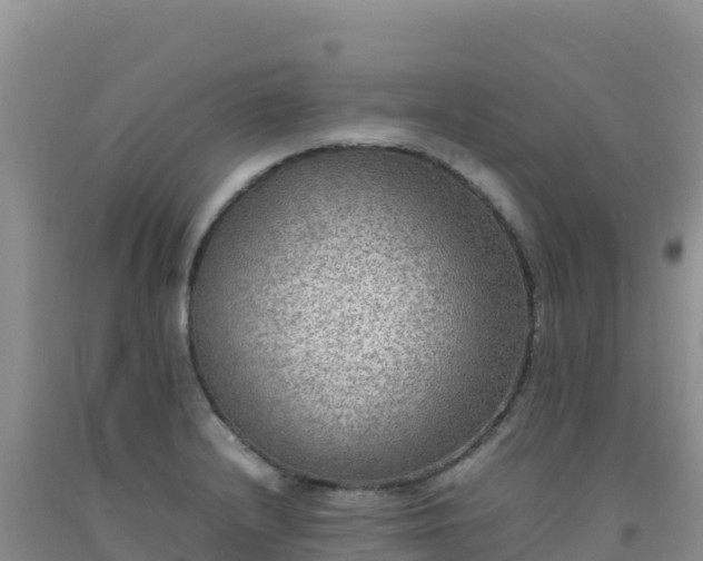 X0000092101232200709191300