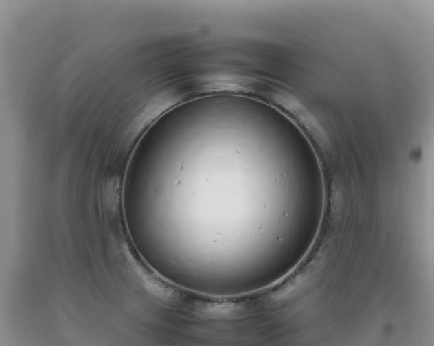 X0000092101233200709191300