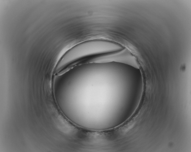 X0000092101234200709191300