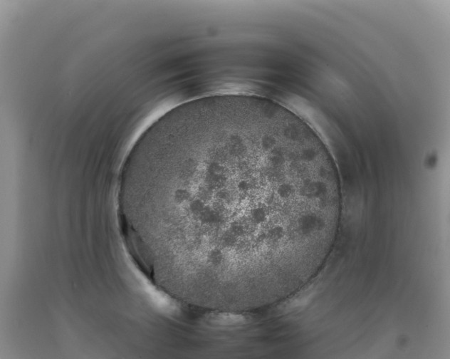 X0000092101235200709191300