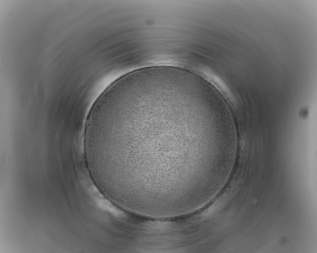 X0000092101236200709191300