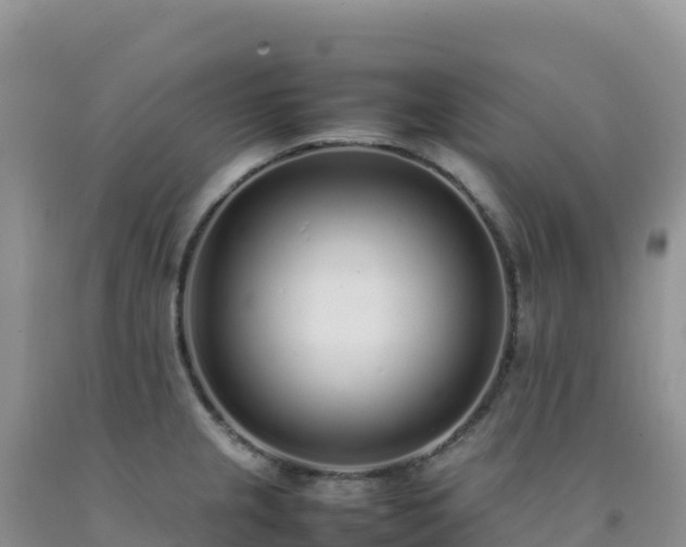 X0000092101237200709191300