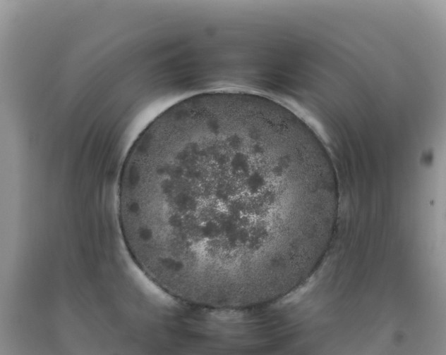 X0000092101239200709191300