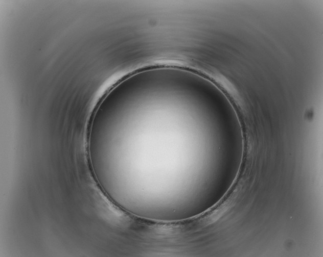 X0000092101240200709191300