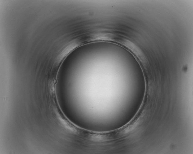 X0000092101241200709191300