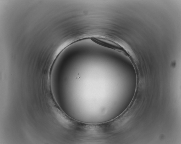 X0000092101242200709191300