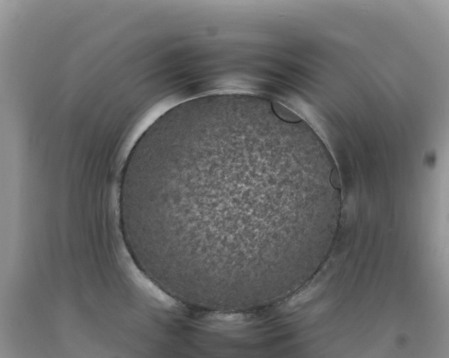 X0000092101243200709191300