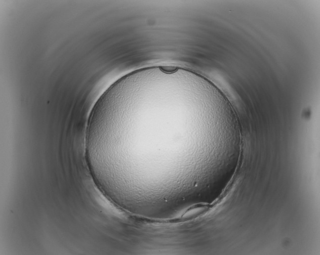 X0000092101244200709191300