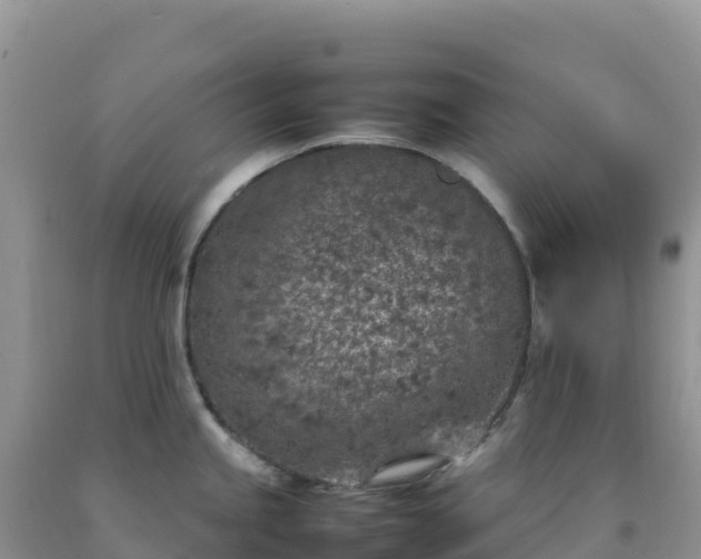 X0000092101245200709191300