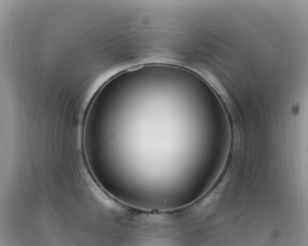 X0000092101246200709191300