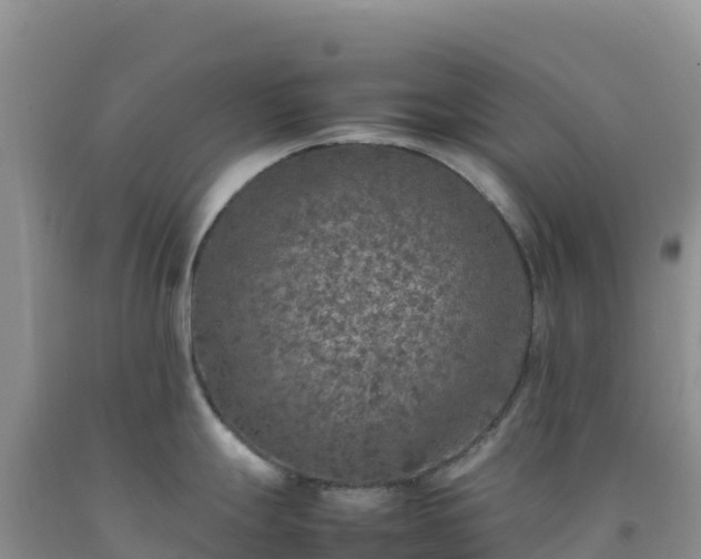 X0000092101247200709191300