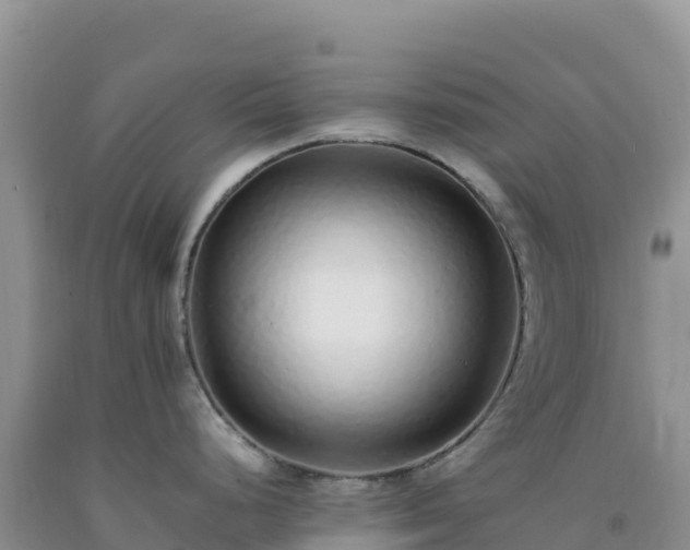 X0000092101248200709191300