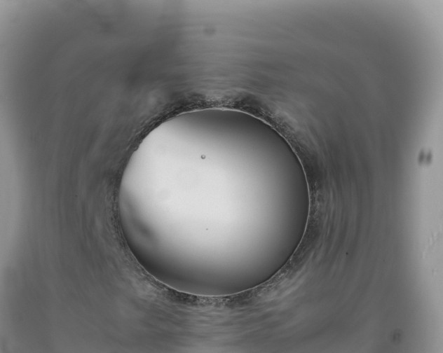 X0000092101249200709191259