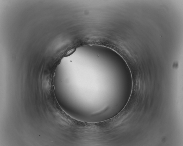 X0000092101250200709191259