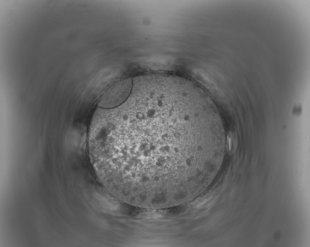 X0000092101251200709191259