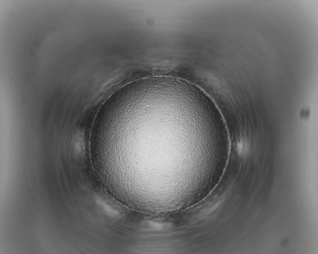 X0000092101252200709191259