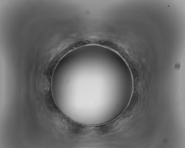 X0000092101253200709191259