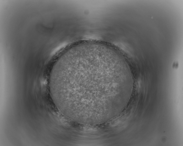 X0000092101254200709191259