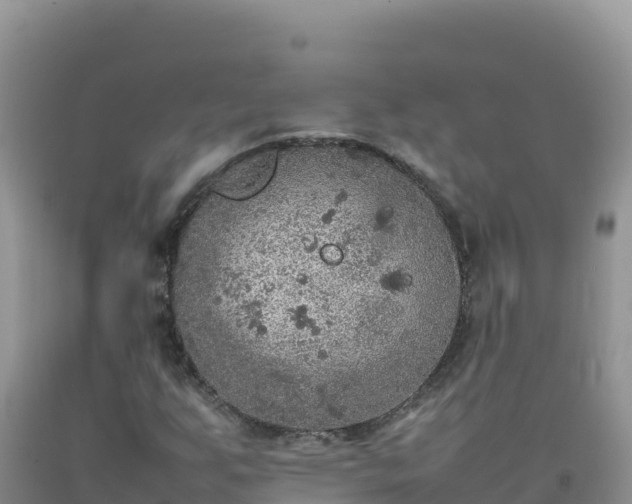 X0000092101255200709191259