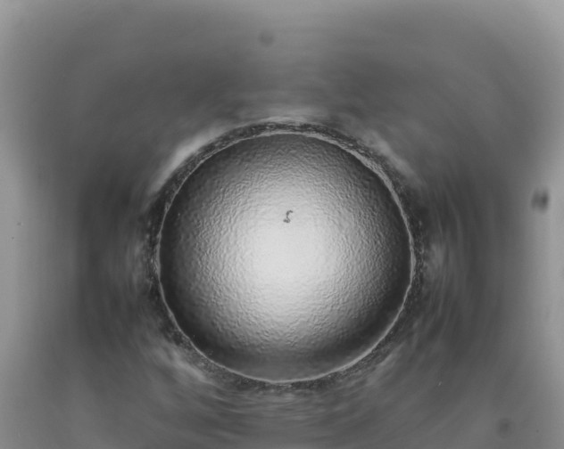 X0000092101256200709191259