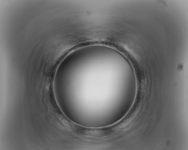 X0000092101257200709191259