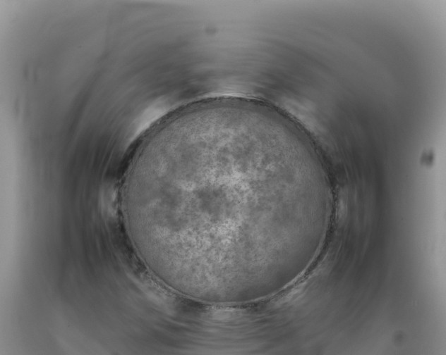 X0000092101258200709191259