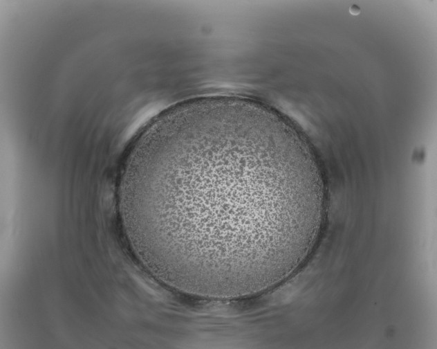 X0000092101259200709191259