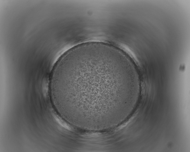 X0000092101260200709191259