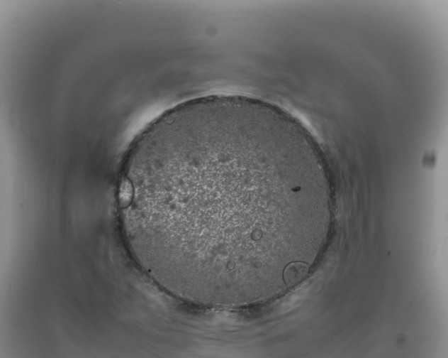 X0000092101263200709191259