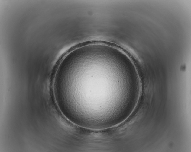 X0000092101264200709191259