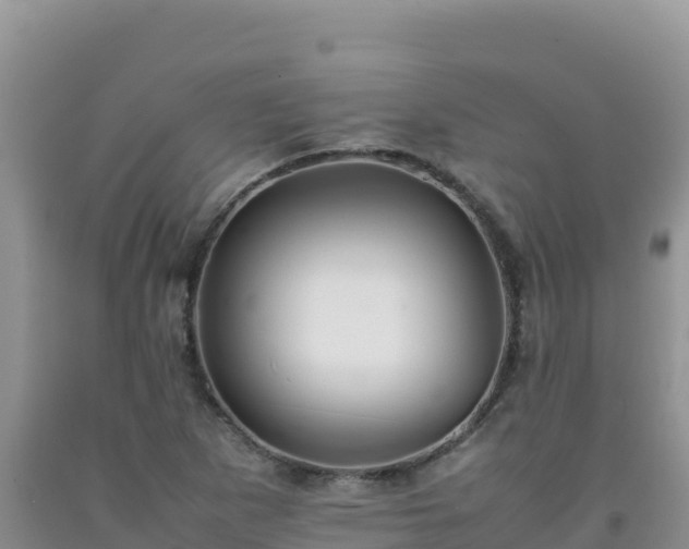 X0000092101265200709191259