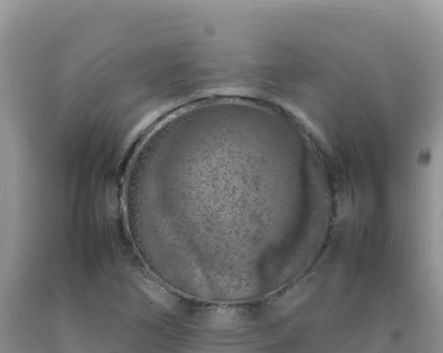 X0000092101266200709191259