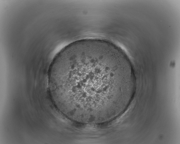 X0000092101267200709191259