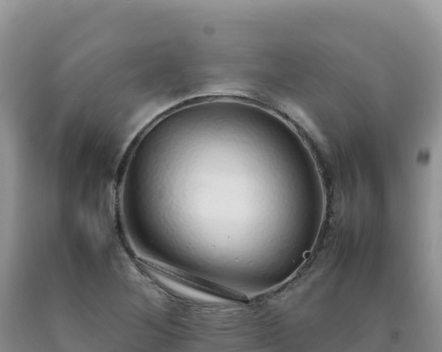 X0000092101268200709191259