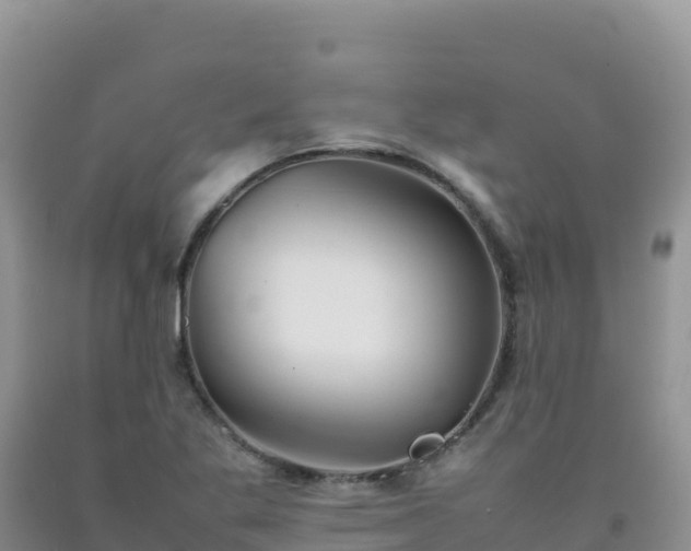 X0000092101269200709191259