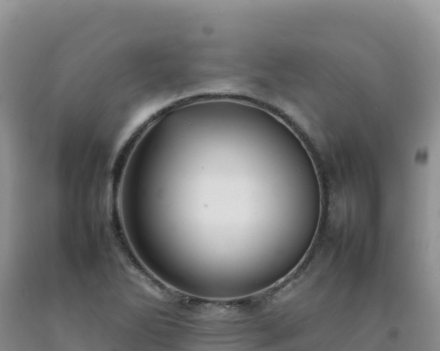 X0000092101270200709191259