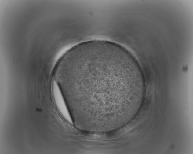 X0000092101271200709191259