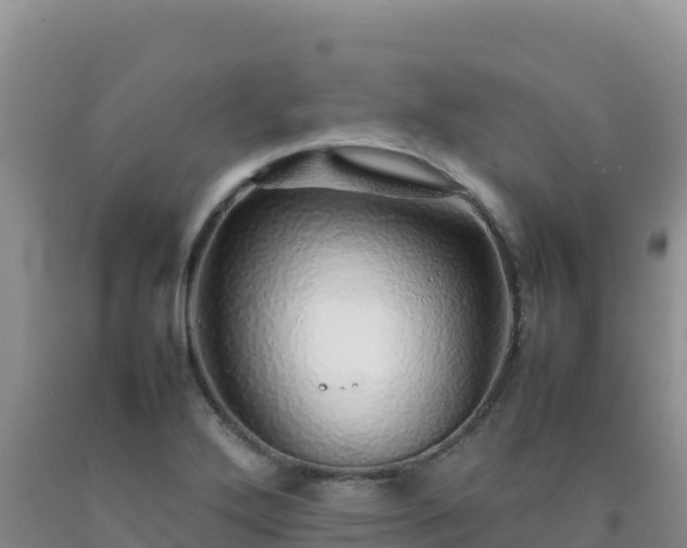 X0000092101272200709191259