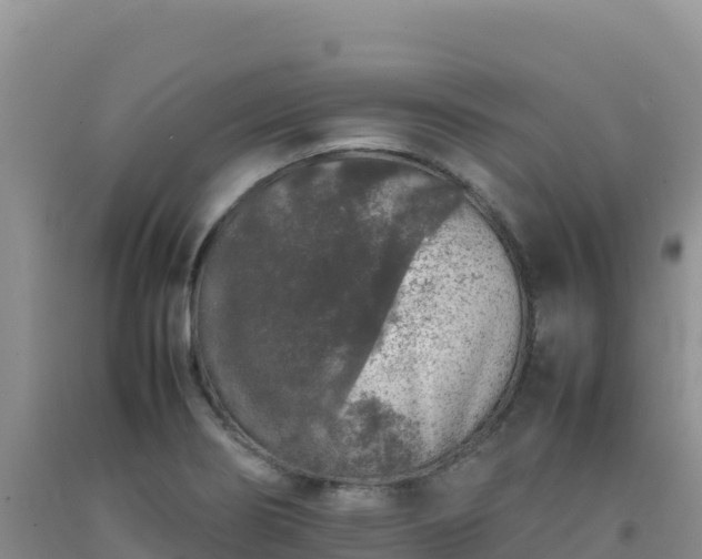 X0000092101274200709191259